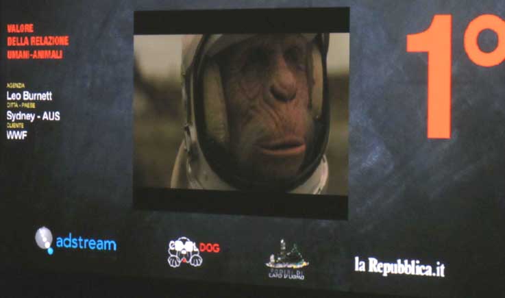 MONKEY.jpg
