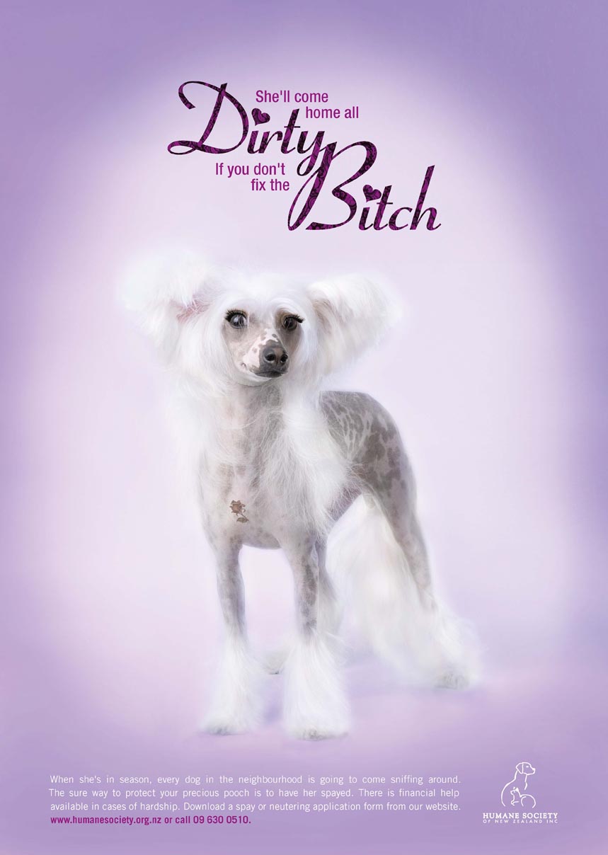 cats and dogs_Page_1.jpg