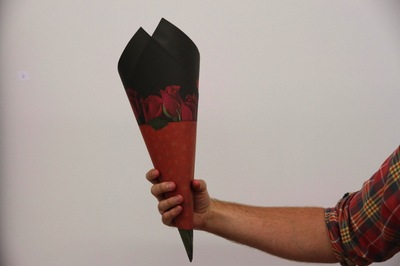 tui 1-thumb-400x266-67613.jpg
