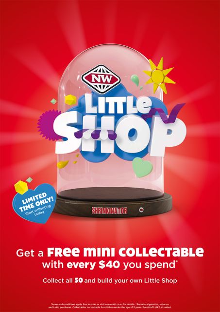 NWN0870 Little Shop POS A0P 3.pdf-3.jpg