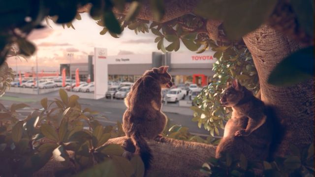 30sec Possums TVC frame.jpg
