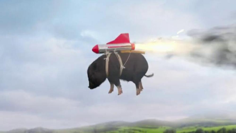 doritos-2015-crash-the-super-bowl-when-pigs-fly-large-8.jpg