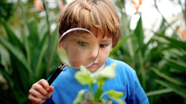 1_New World Little Garden.jpg