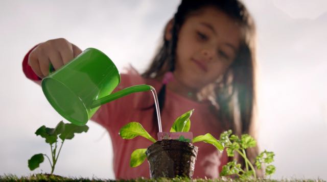 2_New World Little Garden.jpg