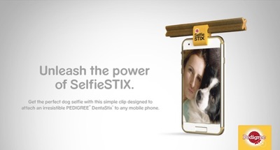 SS_phone (1)-thumb-400x215-264305.jpg