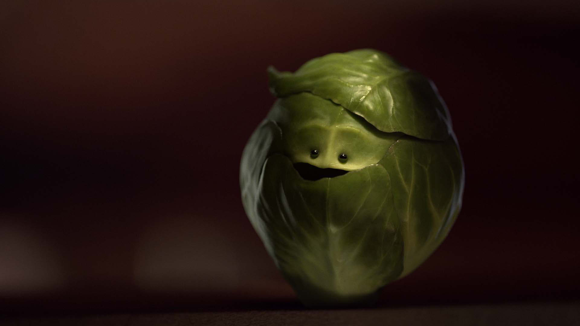 My Food Bag Russel_LookingUp_Smiling.jpg