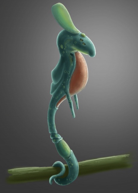 Animation Winner.jpg