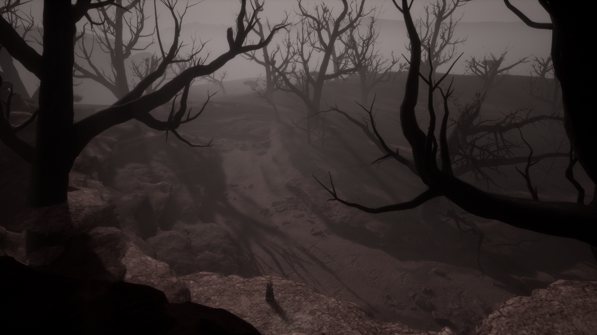 Nakatomi builds new VR project for renowned Indigenous artist Dr. Christian Thompson AO