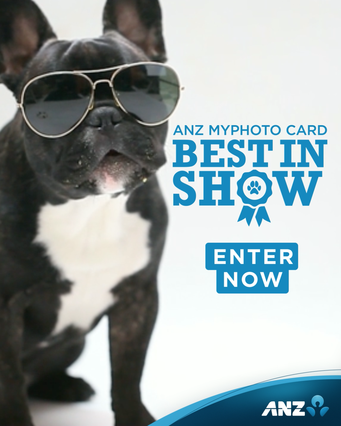 ANZ puts Kiwis’ love of four-legged friends on display in newly launched campaign via TBWA NZ