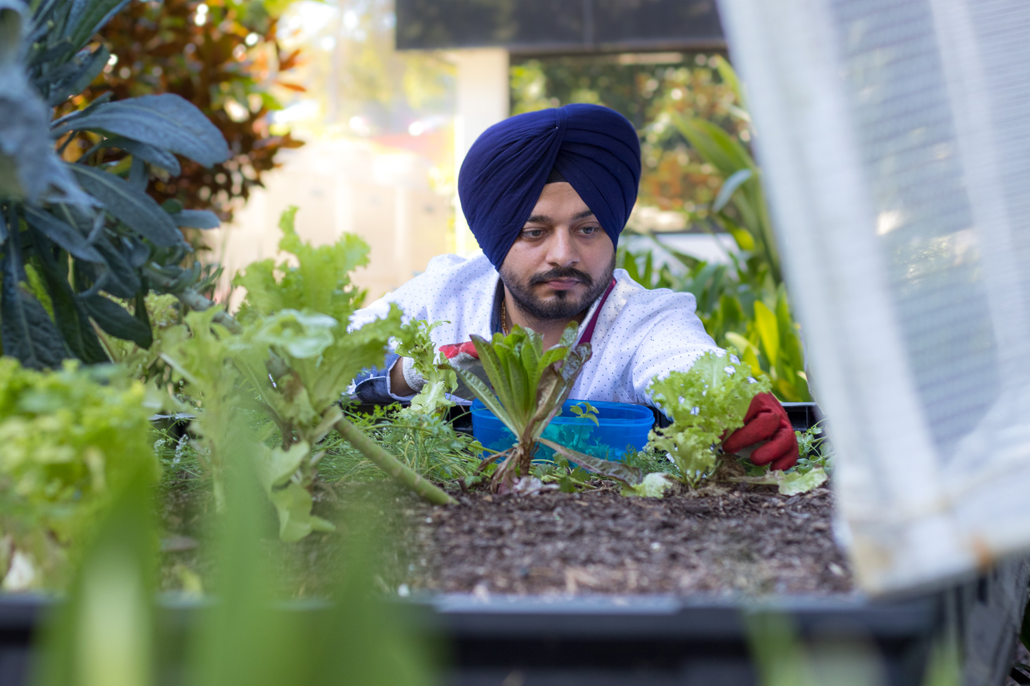 New Zealand telco 2degrees launches new employment brand campaign via RUN