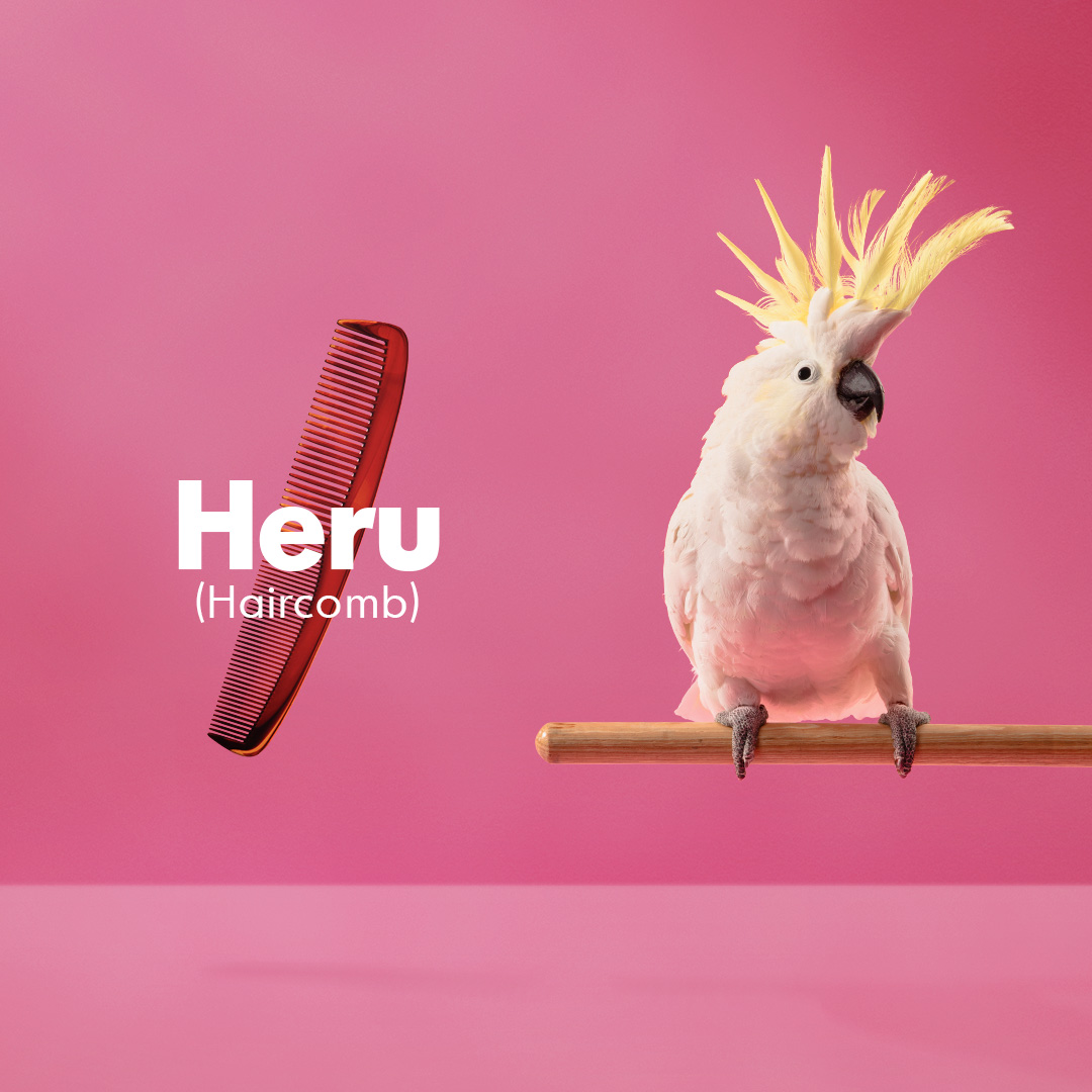 Māori Language Commission challenges the nation to speak more te reo Māori than a cockatoo in newly launched campaign via Augusto