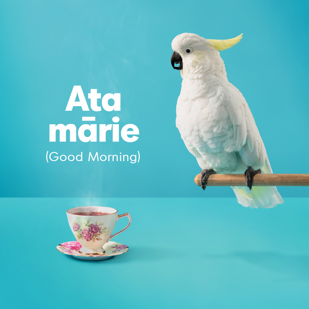 Māori Language Commission challenges the nation to speak more te reo Māori than a cockatoo in newly launched campaign via Augusto