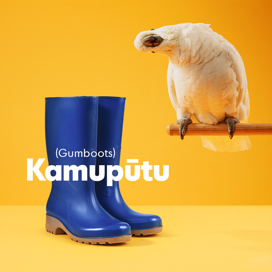Māori Language Commission challenges the nation to speak more te reo Māori than a cockatoo in newly launched campaign via Augusto