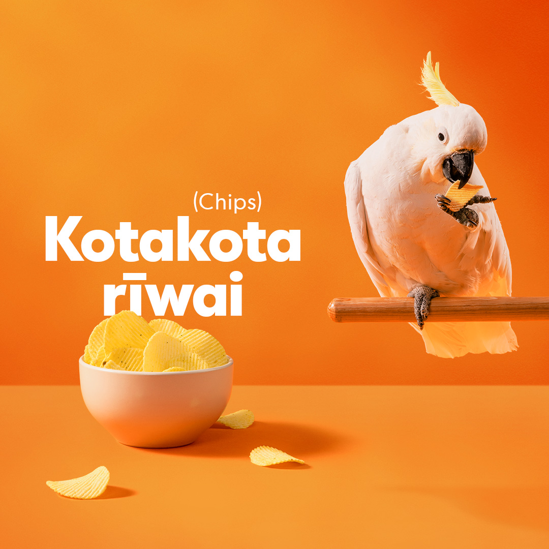 Māori Language Commission challenges the nation to speak more te reo Māori than a cockatoo in newly launched campaign via Augusto