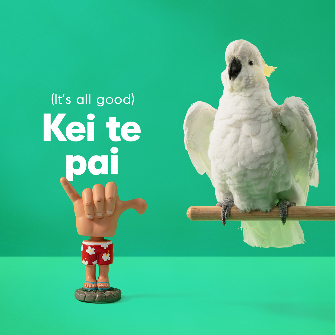 Māori Language Commission challenges the nation to speak more te reo Māori than a cockatoo in newly launched campaign via Augusto