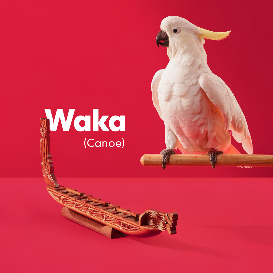 Māori Language Commission challenges the nation to speak more te reo Māori than a cockatoo in newly launched campaign via Augusto