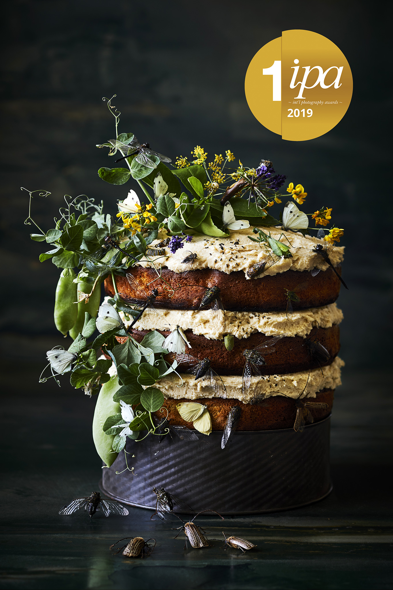 Insects a winner for top Kiwi food photographer Manja Wachsmuth