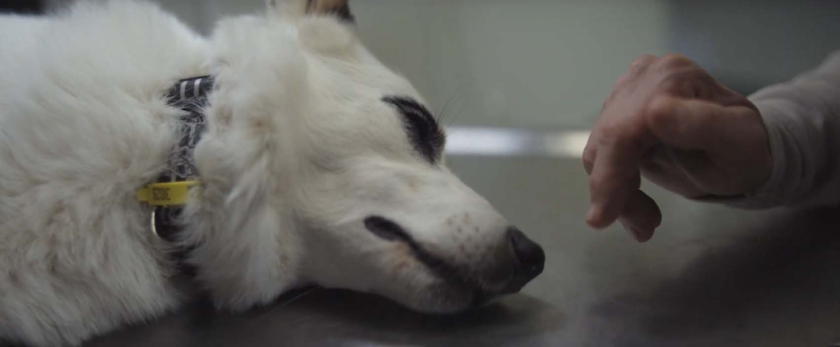 Vodafone shows Kiwis the power of 5G in latest campaign via DDB New Zealand
