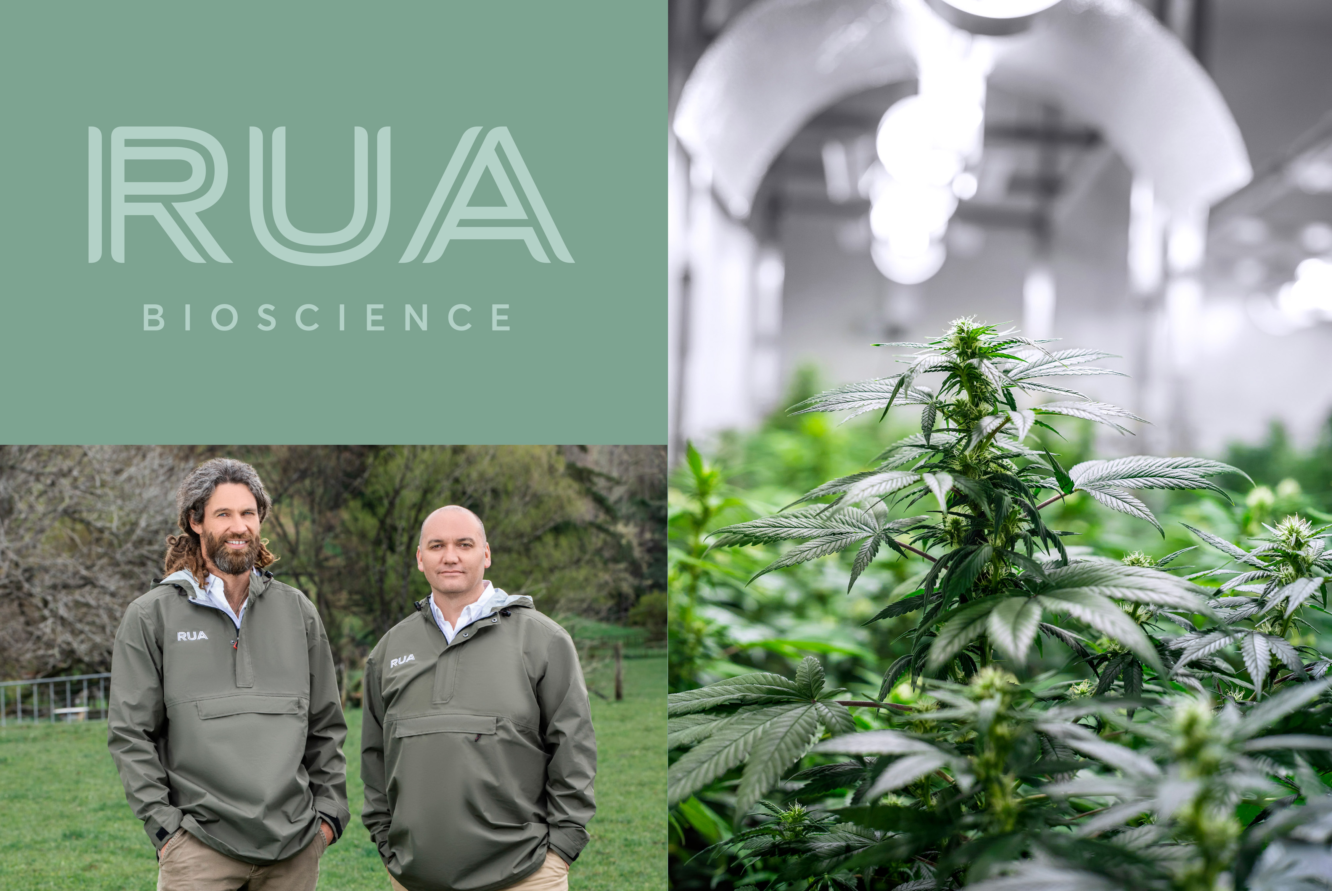 Rua Bioscience launches brand strategy, naming and identity via Special Group