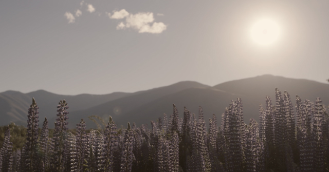 Off The Beaten Track: Episode 4 of Film Construction’s Place Film Series