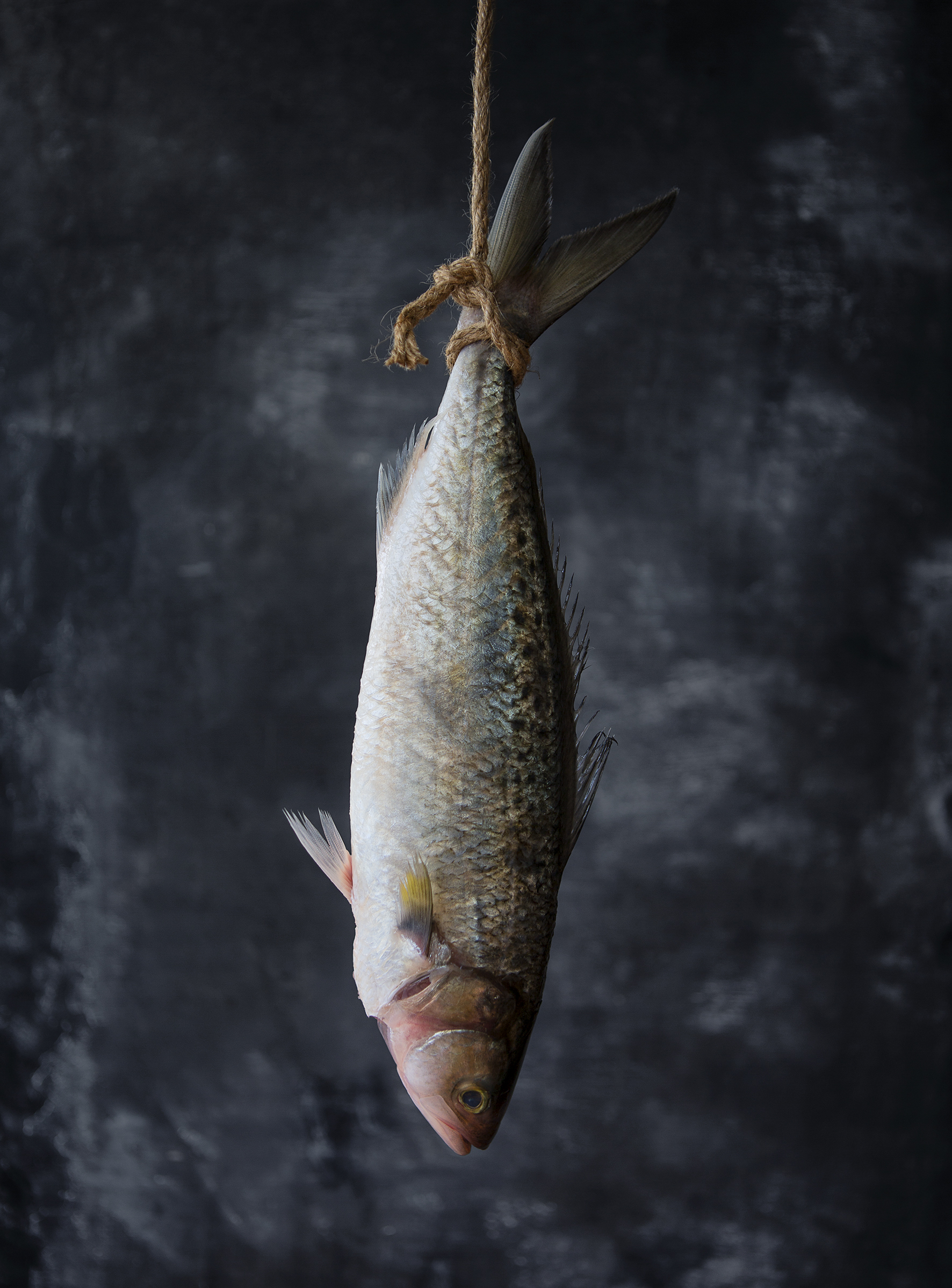 Vanessa Wu selected for 9th edition of Lürzer’s Archive 200 Best Ad Photographers Worldwide