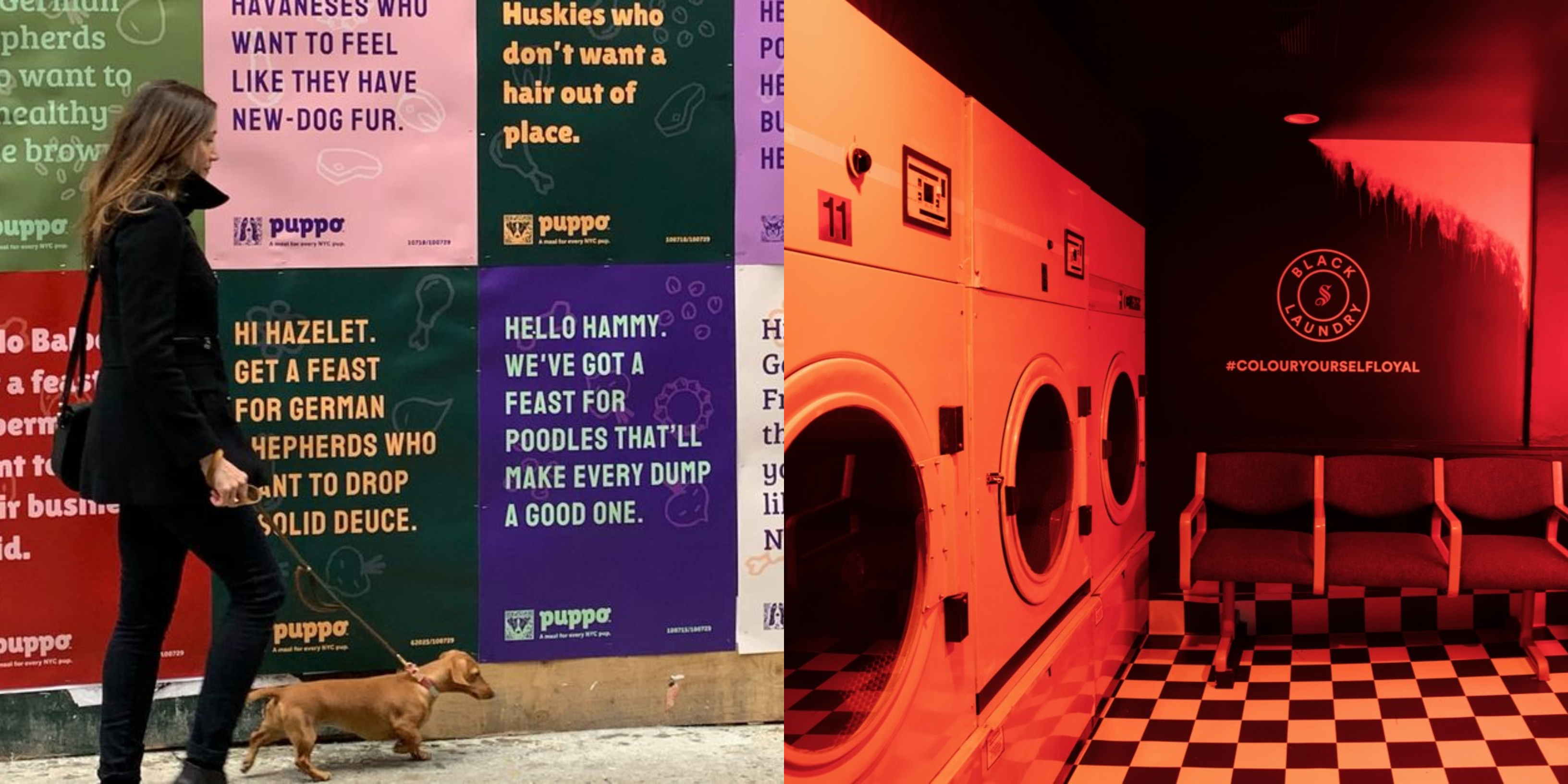 Colenso BBDO and DDB NZ lead the pack at the finalist stage of the 2020 Axis Awards