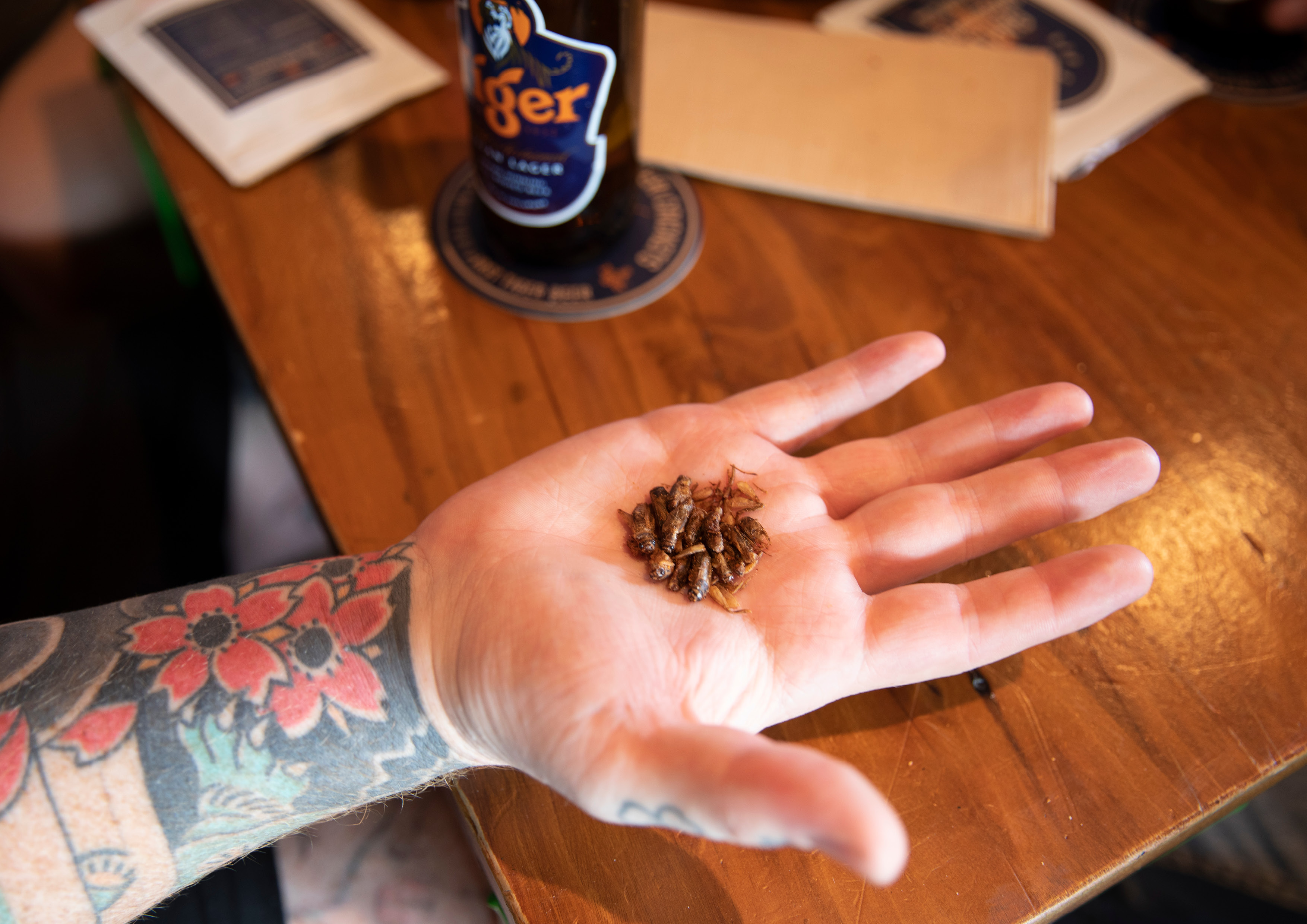 Tiger + Colenso BBDO Easternise the Western bar snack in new ‘East of what you know’ platform