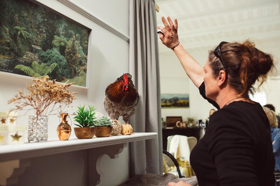 FMG launches new ‘Life’s a Dream’ campaign via BCG2 and Film Construction