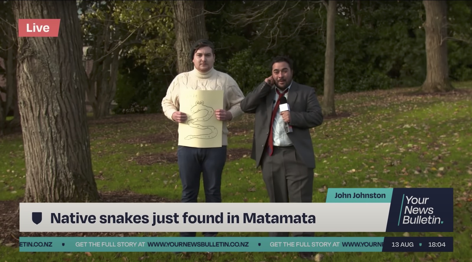Netsafe launches quintessentially kiwi #fakenews campaign via Motion Sickness