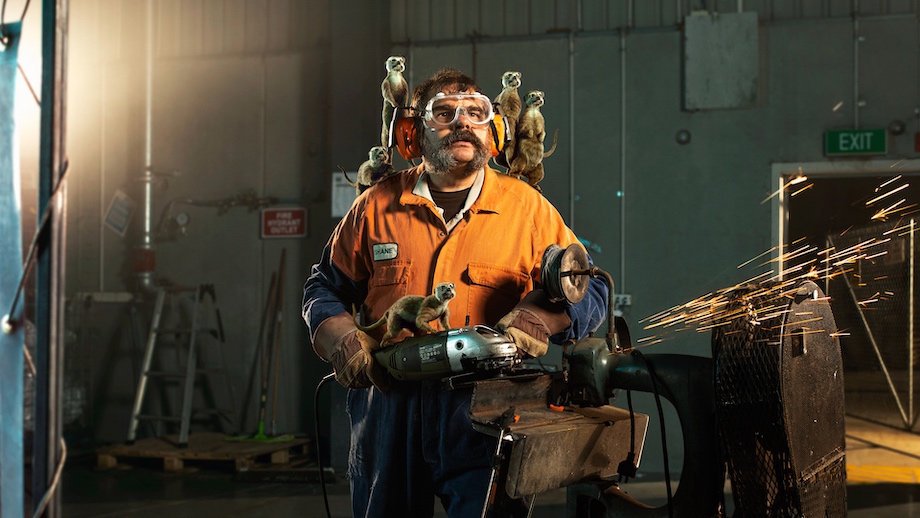 WorkSafe asks New Zealanders to listen to their inner-meerkats in new campaign via FCB NZ