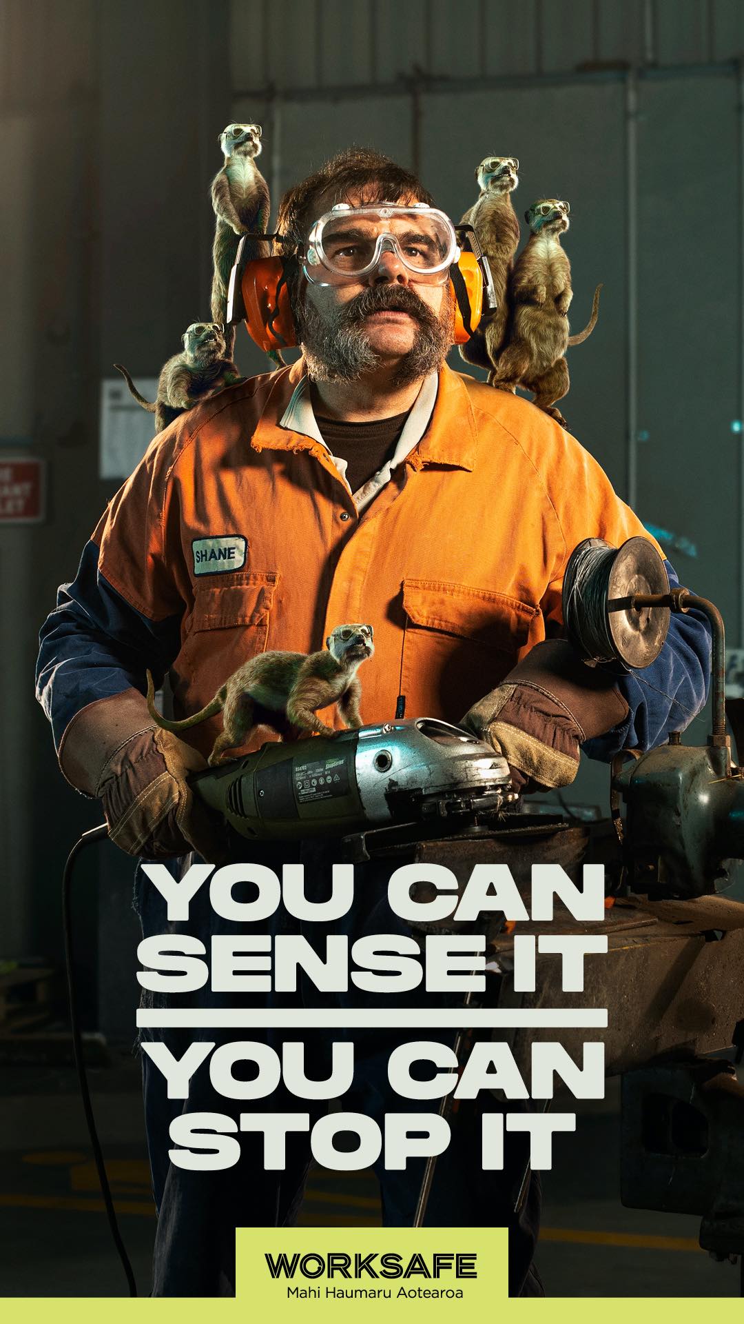 WorkSafe asks New Zealanders to listen to their inner-meerkats in new campaign via FCB NZ