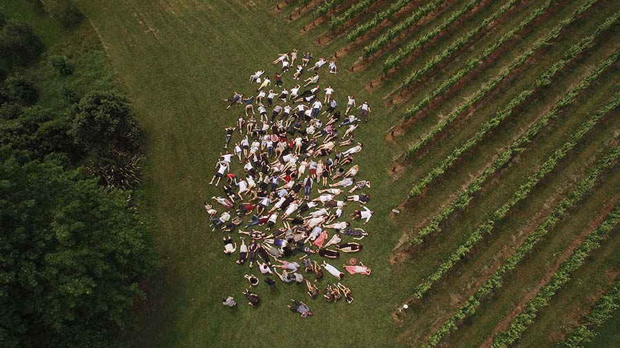 Colenso BBDO named Campaign Brief New Zealand Advertising Agency of the Decade