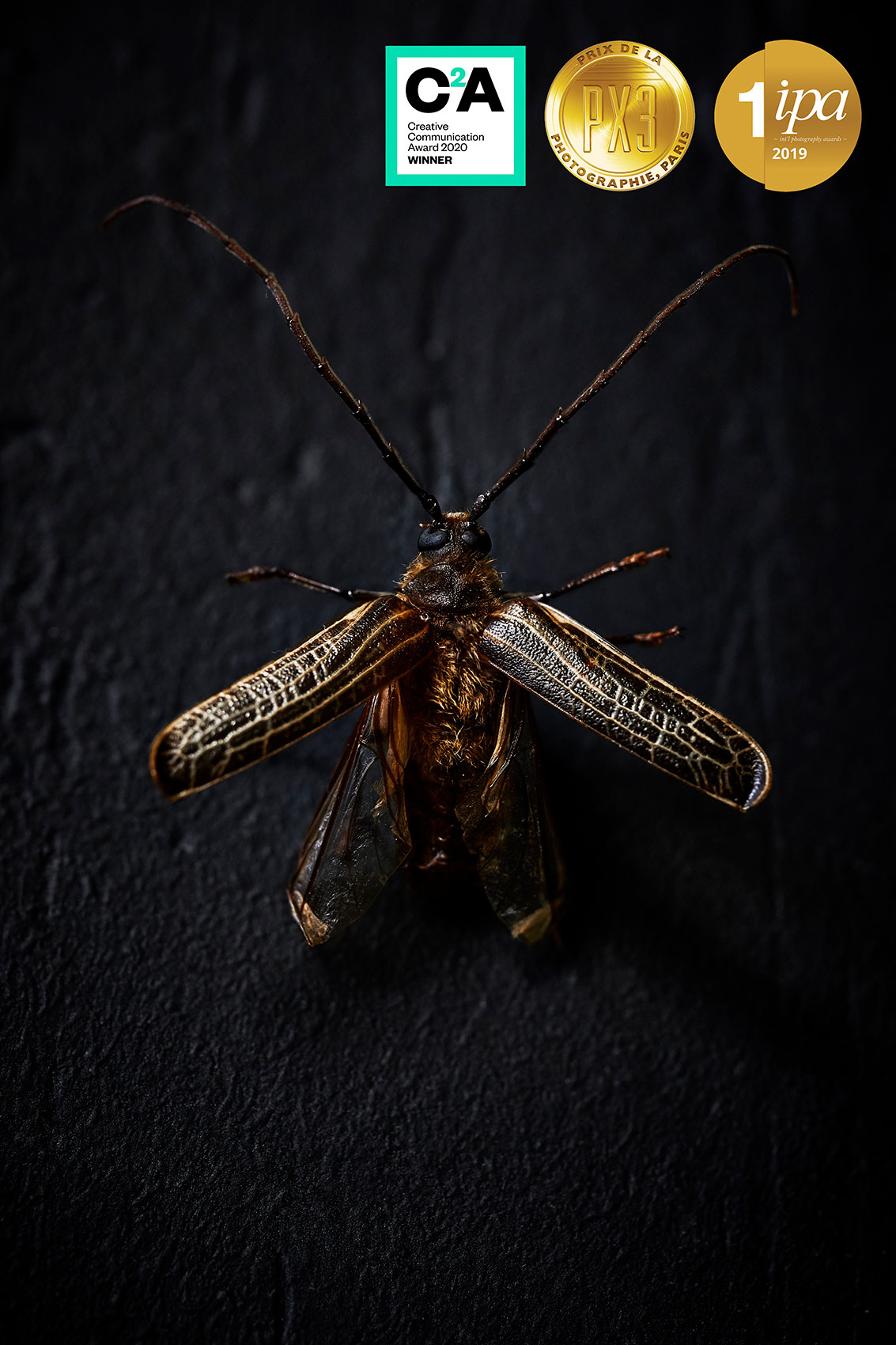 Photographer Manja Wachsmuth picks up metal at the Creative Communications Awards C2A