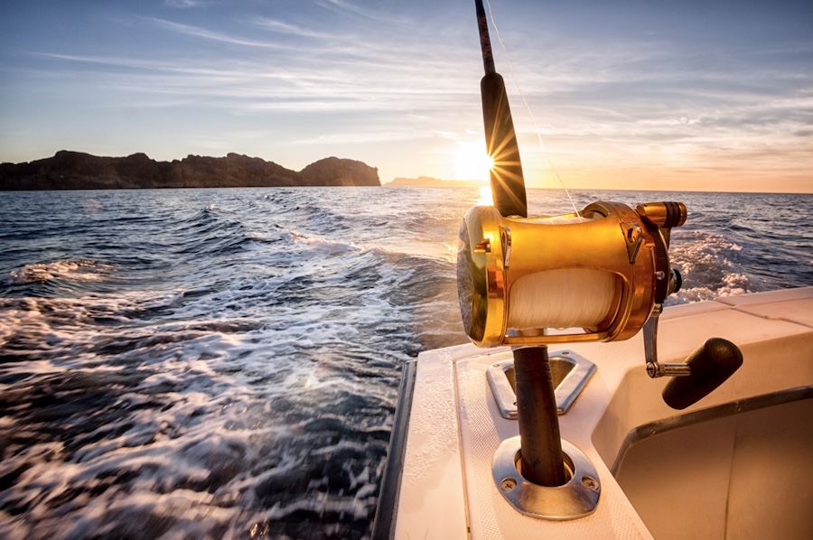Maritime New Zealand appoints Federation as new behaviour-change agency following a 4-way pitch