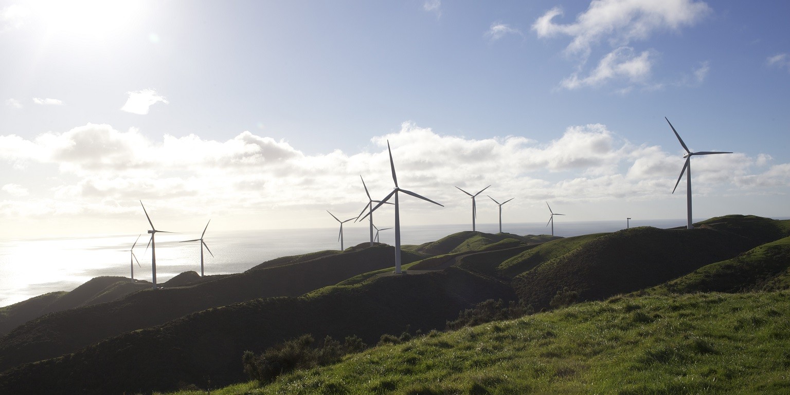 Meridian Energy appoints The Monkeys Aotearoa as new creative agency partner