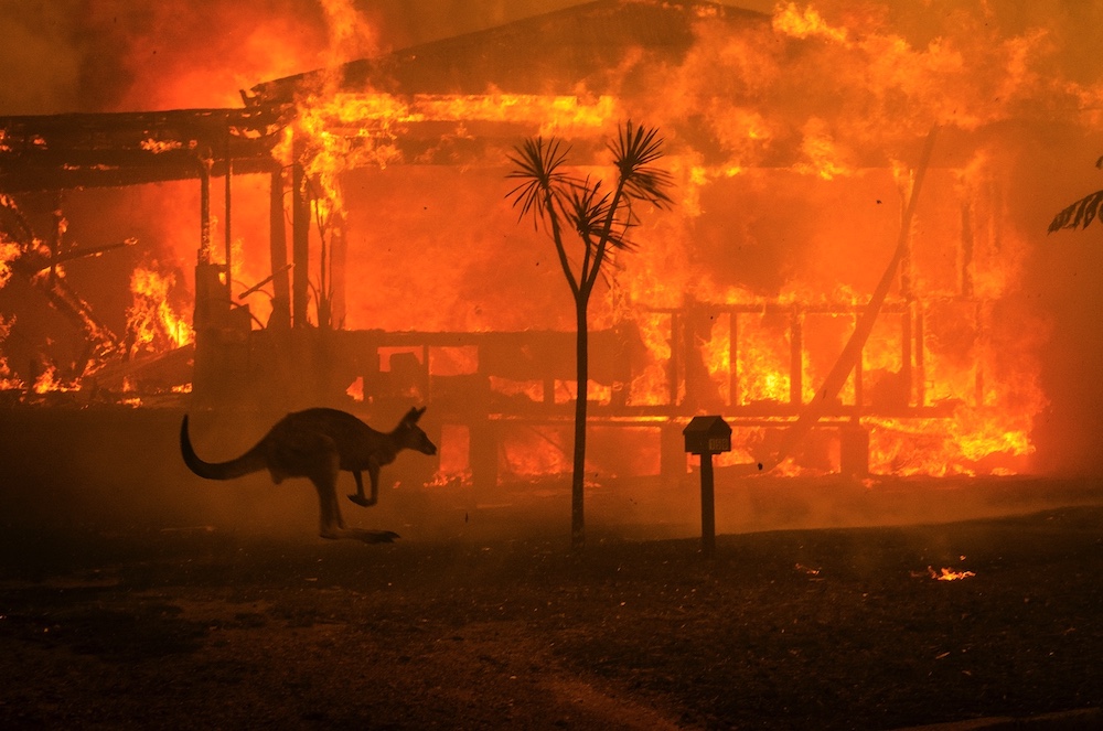 A Fire Inside: NRMA Insurance backs a film, book and a national resilience volunteer movement ~ creatively led by Nick Worthington