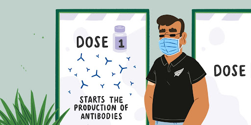 Dept of the PM and Cabinet humanises science in new NZ Vaccine Facts series via Daylight Creative