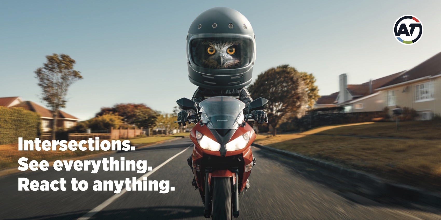 Auckland Transport enlists native fauna to save motorcyclists lives in new work via FEDERATION
