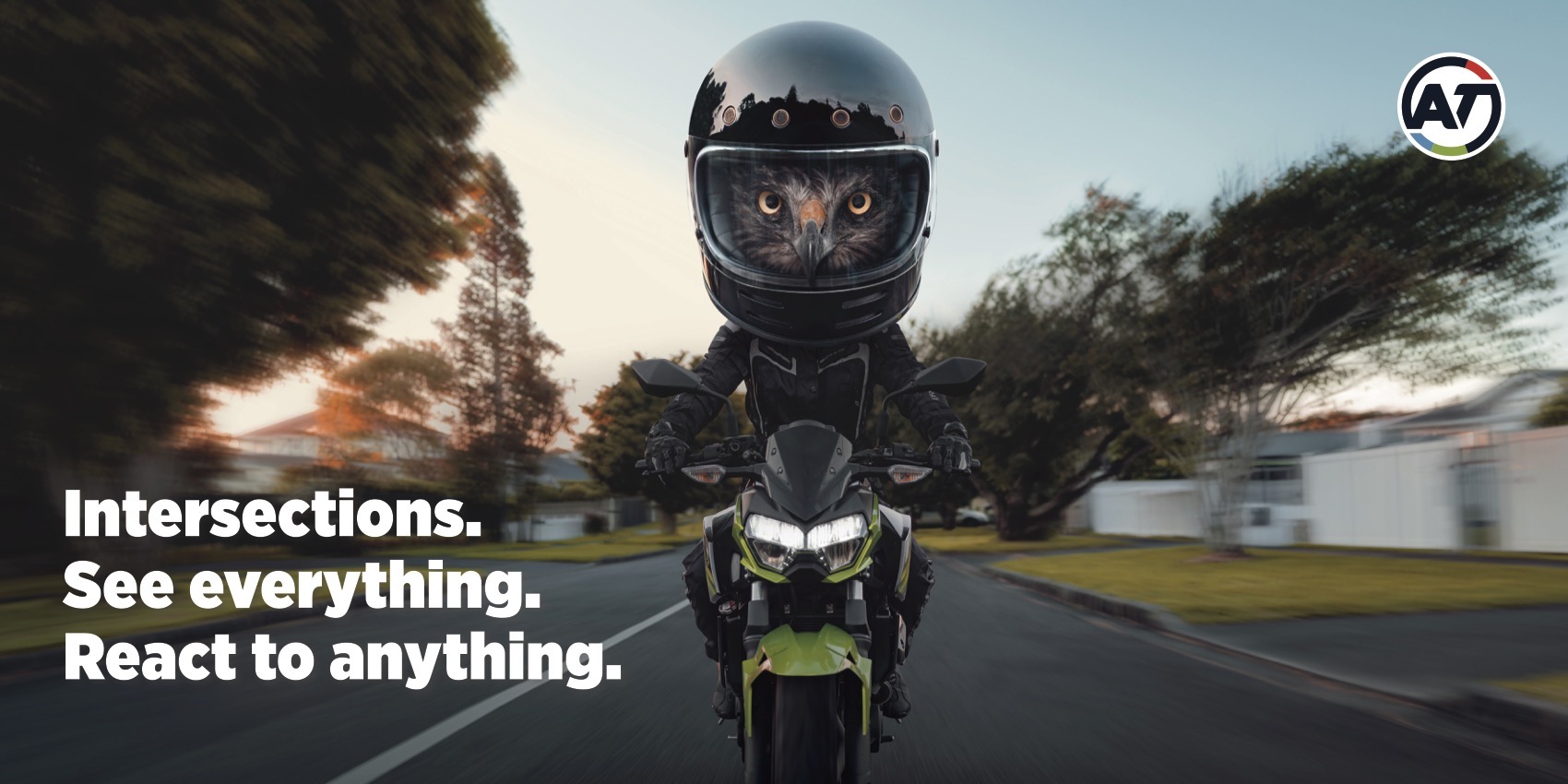 Auckland Transport enlists native fauna to save motorcyclists lives in new work via FEDERATION
