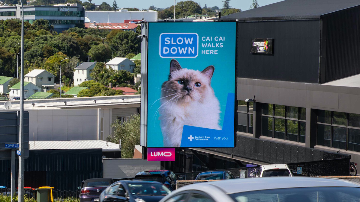Southern Cross Pet Insurance launches new speedometer billboards work via MBM + TBWA/NZ