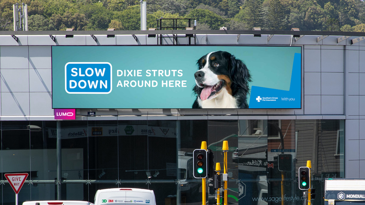 Southern Cross Pet Insurance launches new speedometer billboards work via MBM + TBWA/NZ