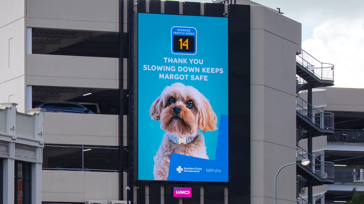 Southern Cross Pet Insurance launches new speedometer billboards work via MBM + TBWA/NZ