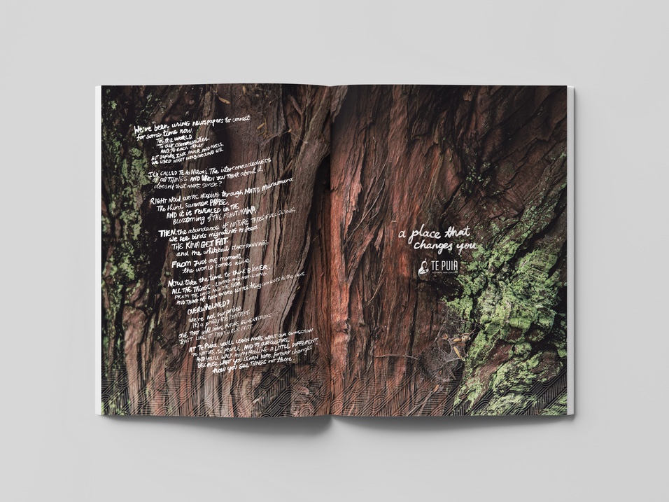 Te Puia launches tourism campaign to reposition itself to a domestic audience via Augusto