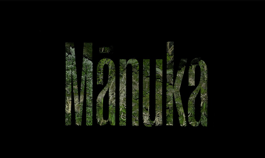 Klim Type Foundry scores two winners in the 2022 Type Directors Club Competition