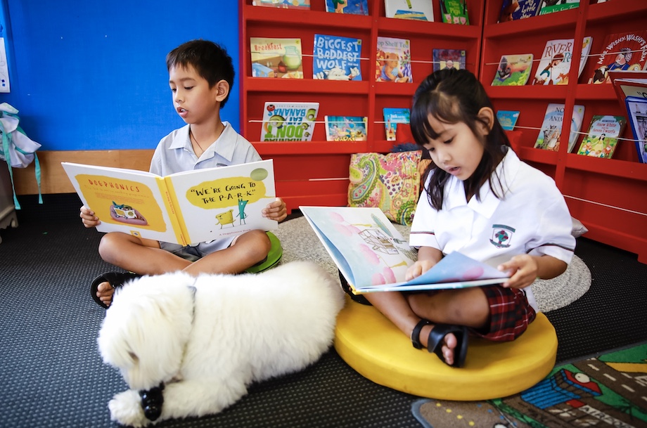 Pedigree launches new kid-to-canine reading programme ‘Pedigree Dogphonics’ via Colenso