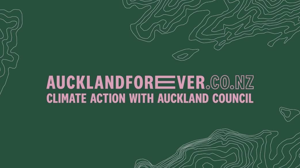 Auckland Council wants the home you love to last forever in new platform via Daylight