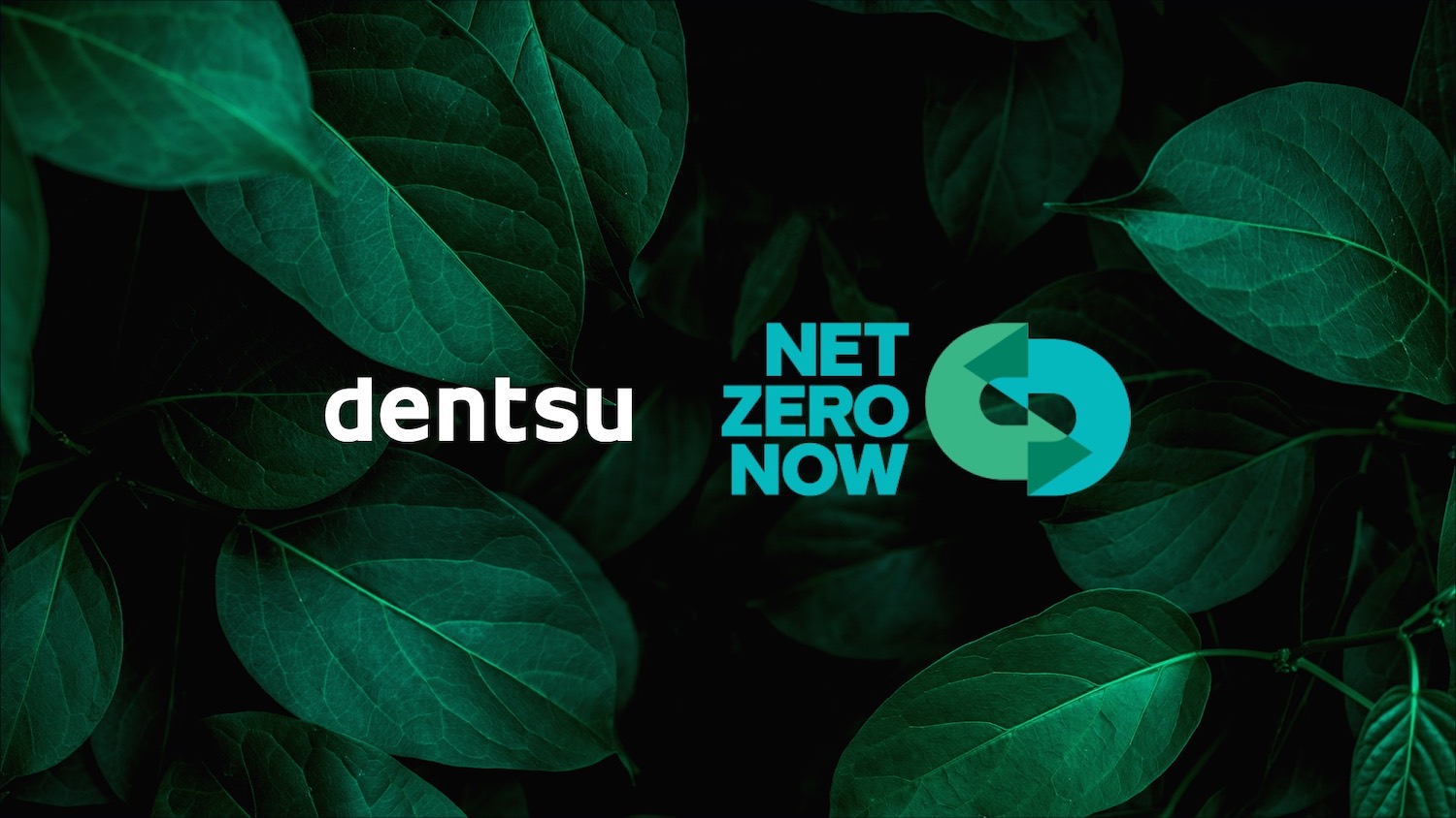 dentsu Aotearoa targets nothing but Net Zero