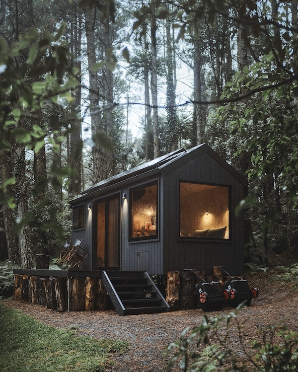 How Nature Sessions Can Jumpstart Flatlining Creative Brains After A Hectic Awards Season