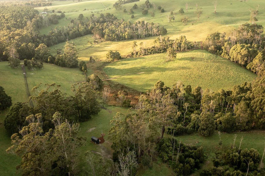 How Nature Sessions Can Jumpstart Flatlining Creative Brains After A Hectic Awards Season