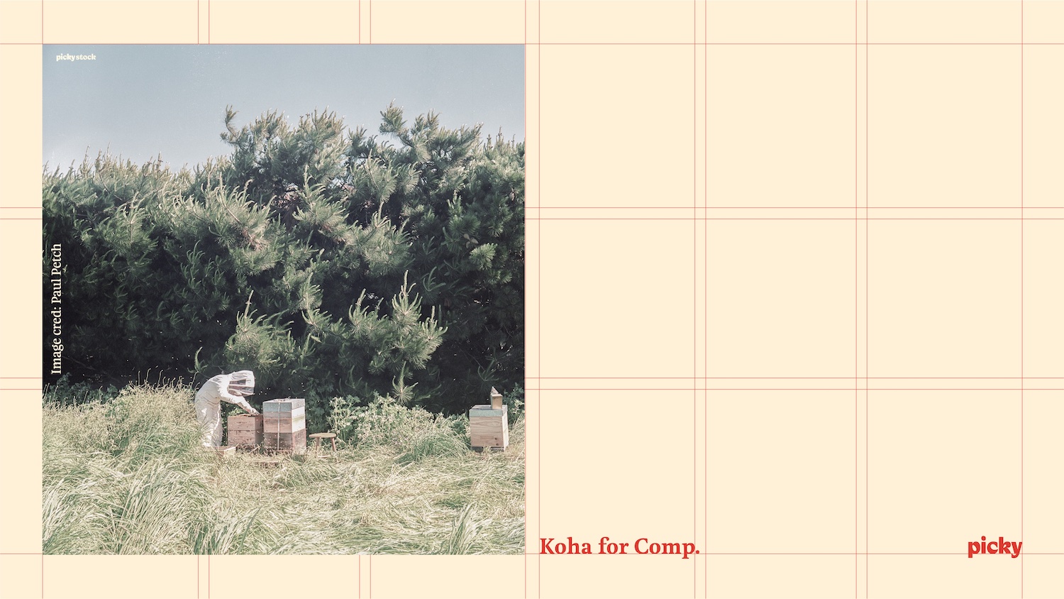 Picky Images launches ‘Koha for Comp’ initiative